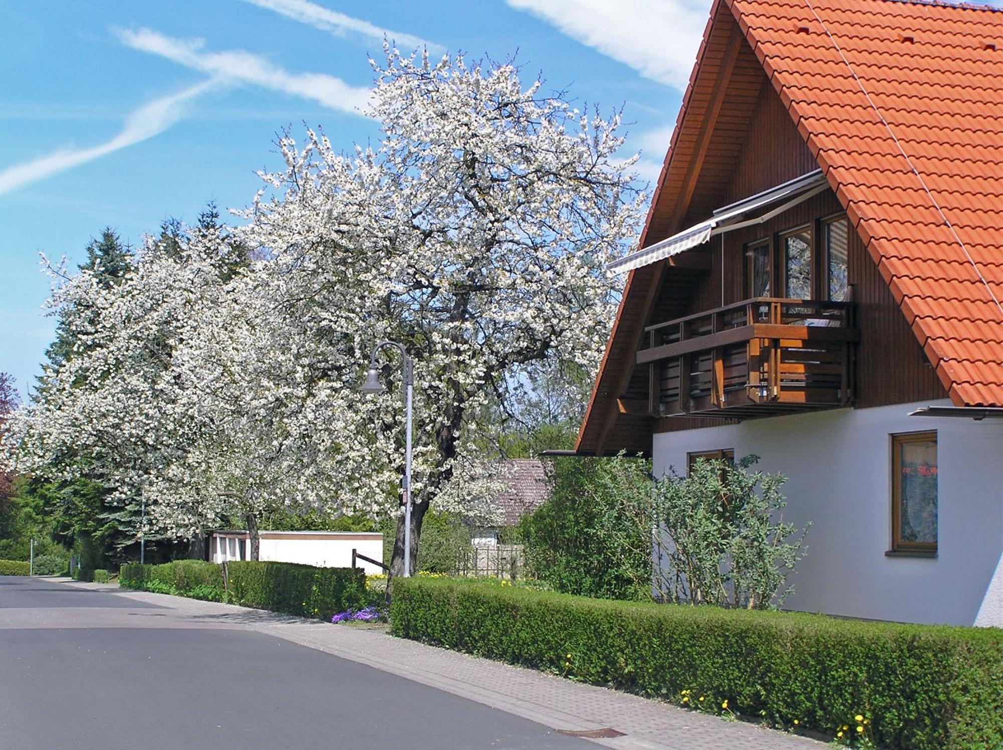 Ferienwohnung Am Schlosspark Schlitz Eksteriør bilde